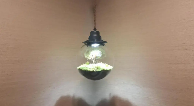 Люкс Ryokan Kamiaizuya