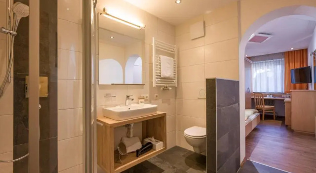 Одноместный номер Standard Hotel Alpina