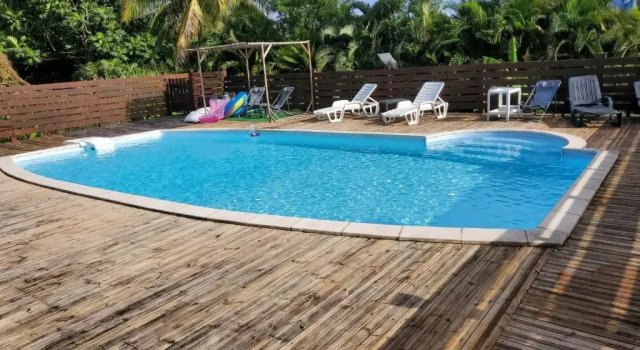 Bel appartement t2 avec vue sur palmier et mer, Buchen Sie Ferienwohnung Apartments in Basse-Terre, Ferienwohnung