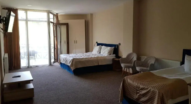 Номер Standard Terrace Borjomi Hotel