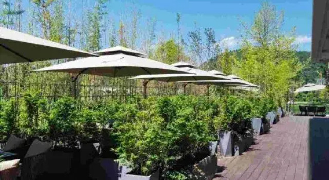 Youfeng Laiyi Hotel, Varaa Hotelli Hotellit Sichuan pysäköinnillä, Pysäköinti