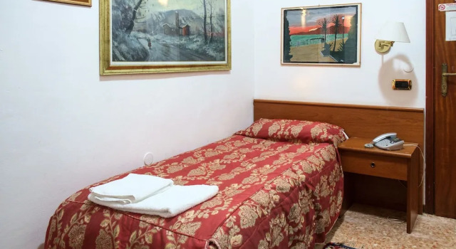 Одноместный номер Standard Hotel Vip