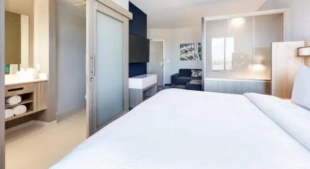 Люкс Springhill Suites Dallas Mansfield