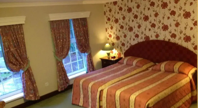 Двухместный номер Standard Ty Newydd Country Hotel