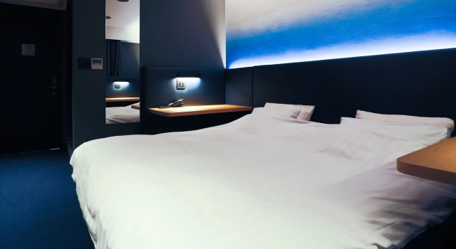 Двухместный номер Standard Hotel New Shohei
