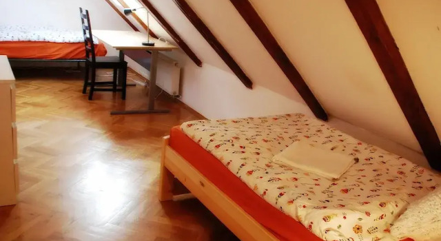 Generous Attic Apartment