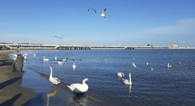 Апартаменты Apartament Sopot Karlikowska 13b 5 - 3 min do plaży
