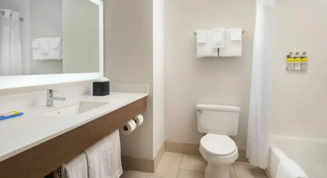 Номер Standard Holiday Inn Express Hotel & Suites Olive Branch by IHG