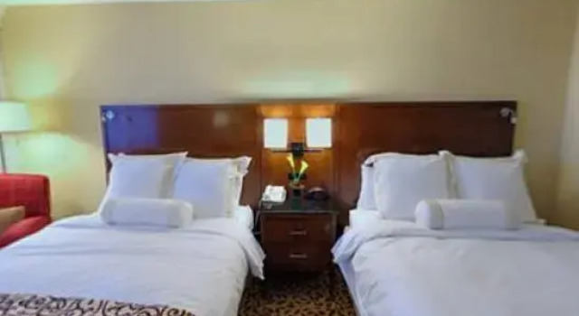 Двухместный номер Standard с красивым видом из окна Dallas/Fort Worth Airport Marriott