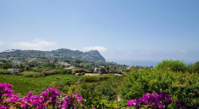 Villetta con Giardino esclusivo di 1000 mq, Piscina, Tennis, Calcio, Bocce, Buchen Sie Hotel Hotels in Forio d'Ischia mit Pool, Schwimmbad