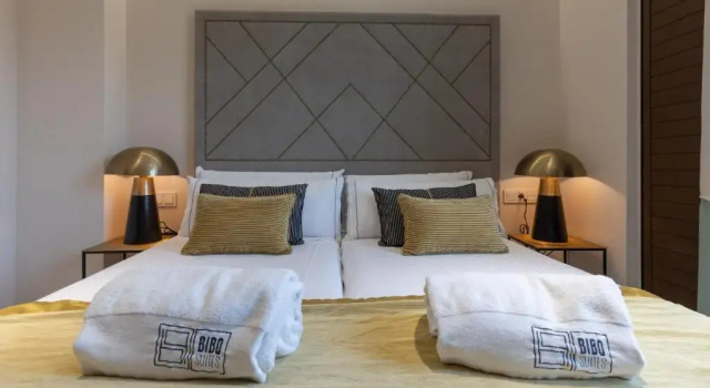 Апартаменты Superior BiBo Suites Real Chancilleria