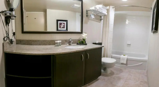 Люкс Les Suites Hotel Ottawa