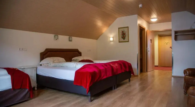 Номер Standard Hotel Smyrlabjörg