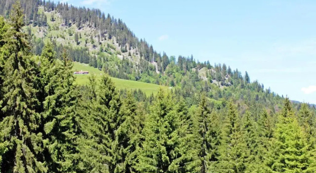 Двухместный номер Standard с балконом Alpengasthof Hörnlepass GmbH