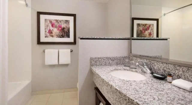 Двухместный полулюкс Courtyard Scottsdale Salt River