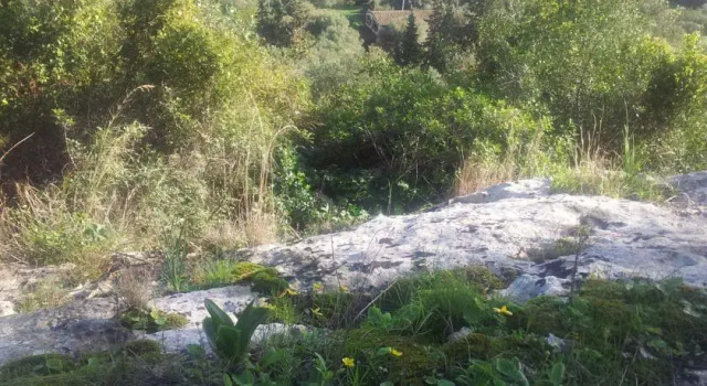 I Giardini di Perciata