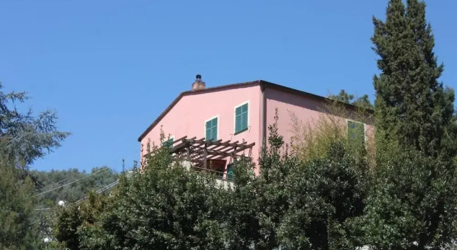Lulivo