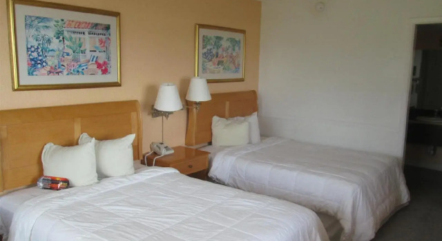The Flamingo Resort - Adult Resort, Book Resort St. Petersburg Pinellas County