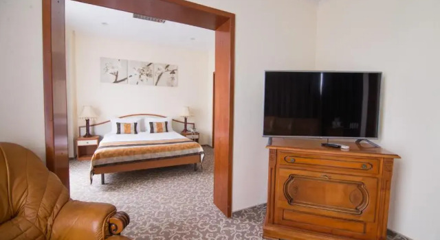 Люкс Hotel Trotuş