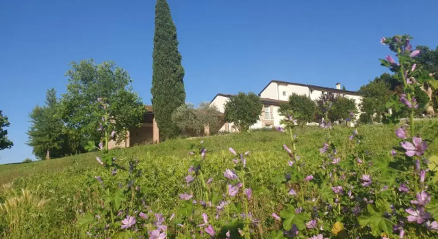 Двухместный номер Standard Agriturismo Relais Maddalene101