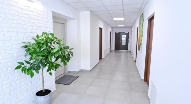 Семейный номер Standard Orange Tree Hotel
