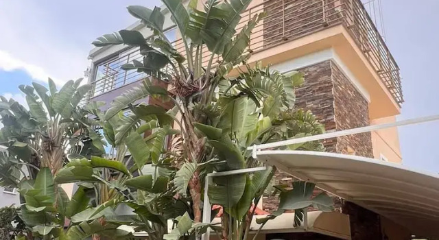 Luxury Seaside Villa, Book Villa Larnaka Larnaca Region