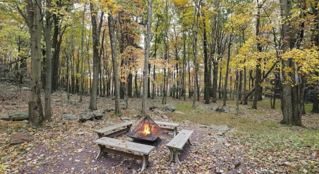 Коттедж Woodland Oasis by Avantstay Hot Tub, Firepit, Walk to Lake