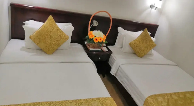 Номер Standard Green Leaf Hotel