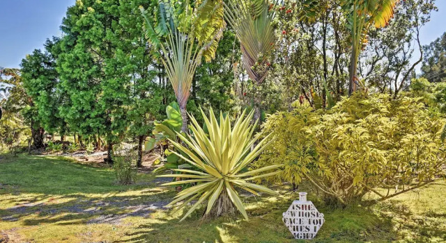 Апартаменты Cozy Volcano Studio w/ Phenomenal Rainforest Views