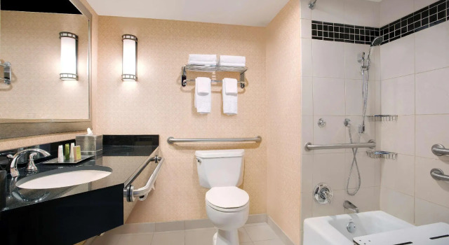 Двухместный номер Mobility/Hearing Accessible with Bathtub Hilton Chicago OHare Airport