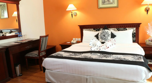 Двухместный номер Standard Pars International Hotel