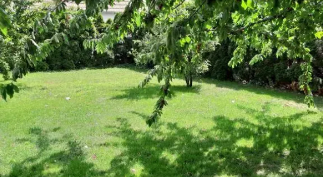 Апартаменты Eisenstadt Apartments