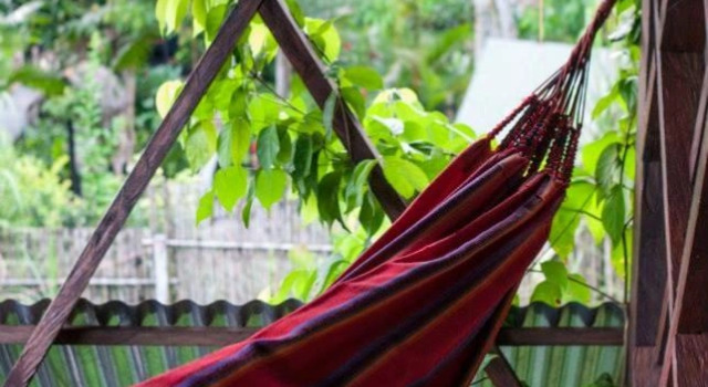 Ayahuasca