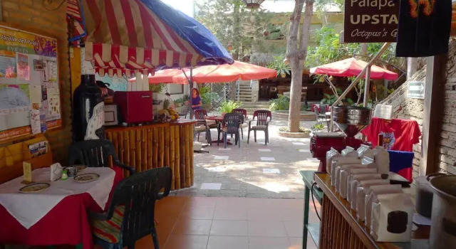 The Octopuss Garden Hostel, Buchen Sie Hostel Hostels in Nayarit, Hostel
