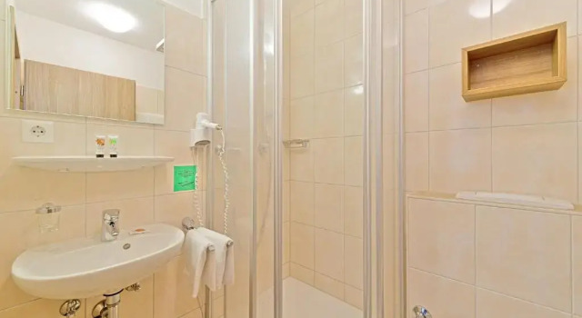 Номер Standard Sapia Hotel St. Fridolin
