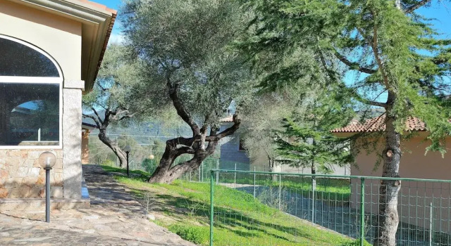 Schifoni House