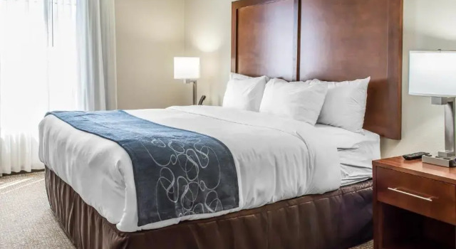 Одноместный люкс Comfort Suites Fredericksburg South