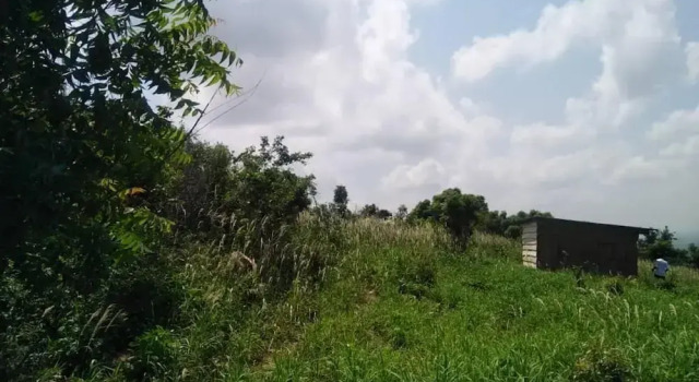 no Longer Available Please, Buchen Sie Ferienhaus Villen in Groß-Accra Region, Villa