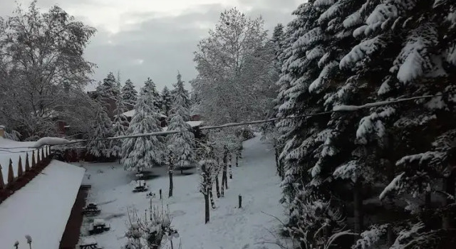 Трёхместный номер Standard Bolu Yildiz Hotel