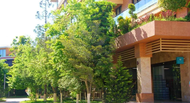 Hotel Dreamland Oasis