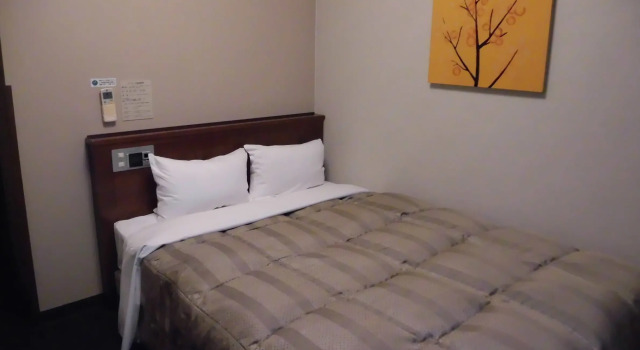 Одноместный номер Standard Hotel Route-Inn Kanda Ekimae