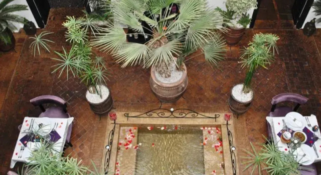 Полулюкс Ryad Amiran & Spa