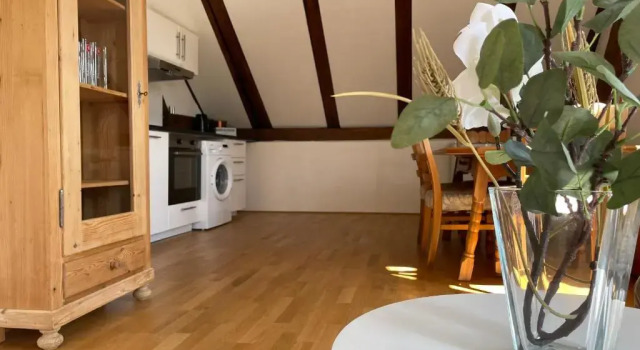 Апартаменты с 2 комнатами Bodensee Rooms Lochau