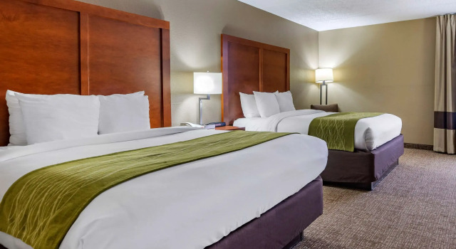 Четырёхместный номер Standard Comfort Inn Matthews / Charlotte