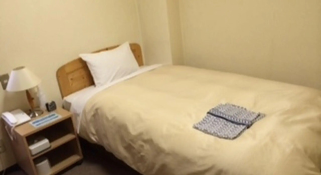 Одноместный номер Standard Hotel Himeji Hills