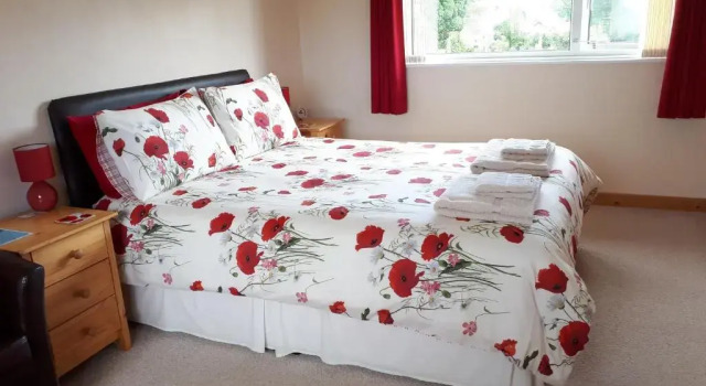 Номер Economy Pendine Sands Guest House