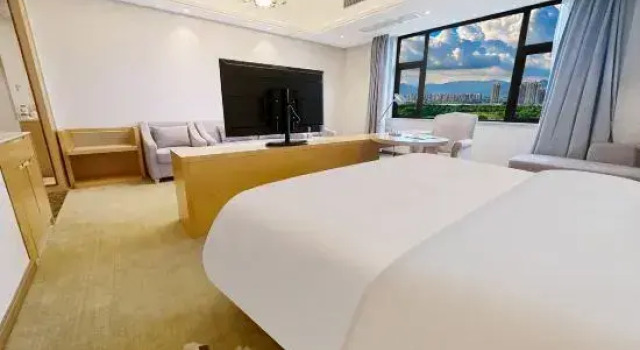 Люкс Business Vienna International Hotel Guangzhou Dagang