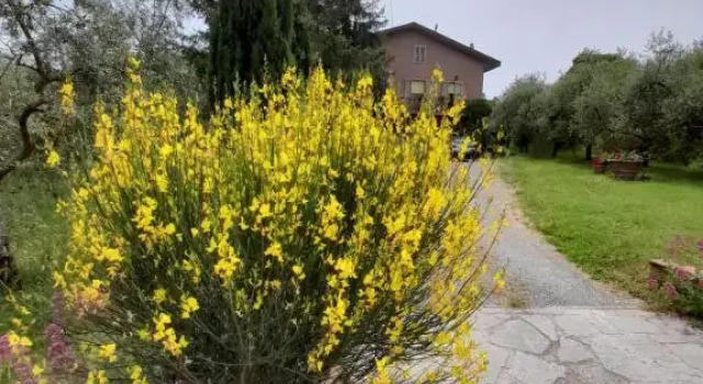 Agriturismo Campo Contile