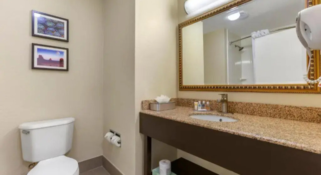 Люкс Superior Comfort Inn & Suites Surprise Near Sun City West
