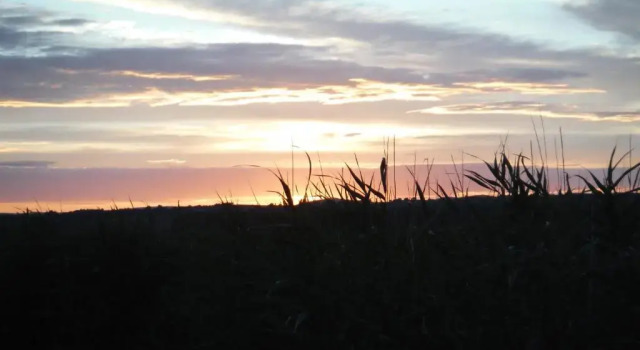 Шале Pfahlbau Rust/Neusiedlersee Sunset I